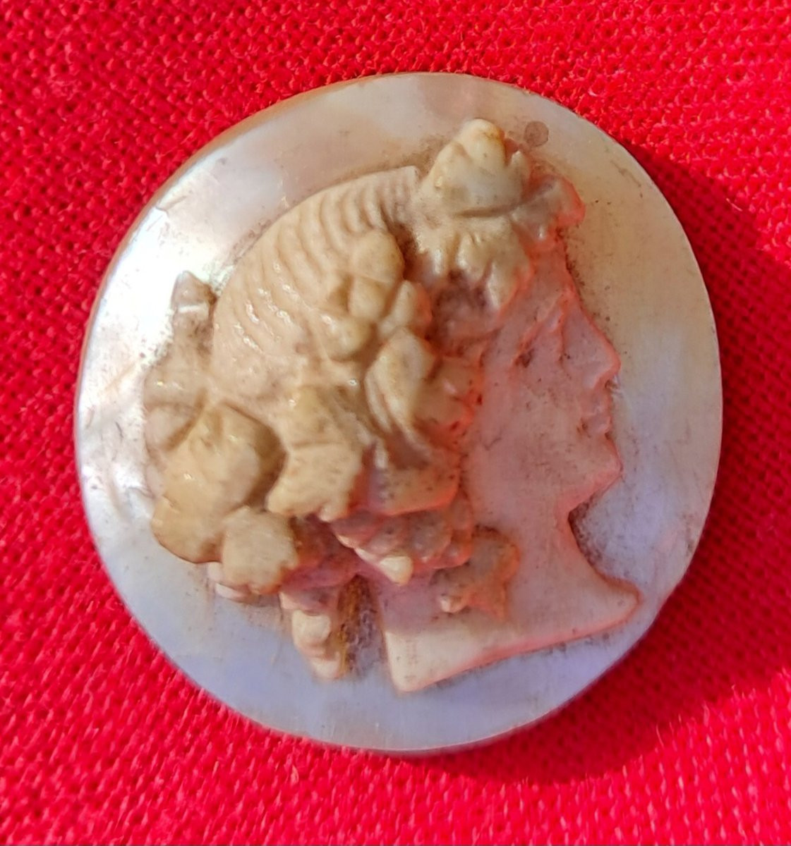 Lot Of 5 Cameos 19th Century Shell Grand Tour Portrait Italy Naples Neptune Cupid Mythology-photo-2