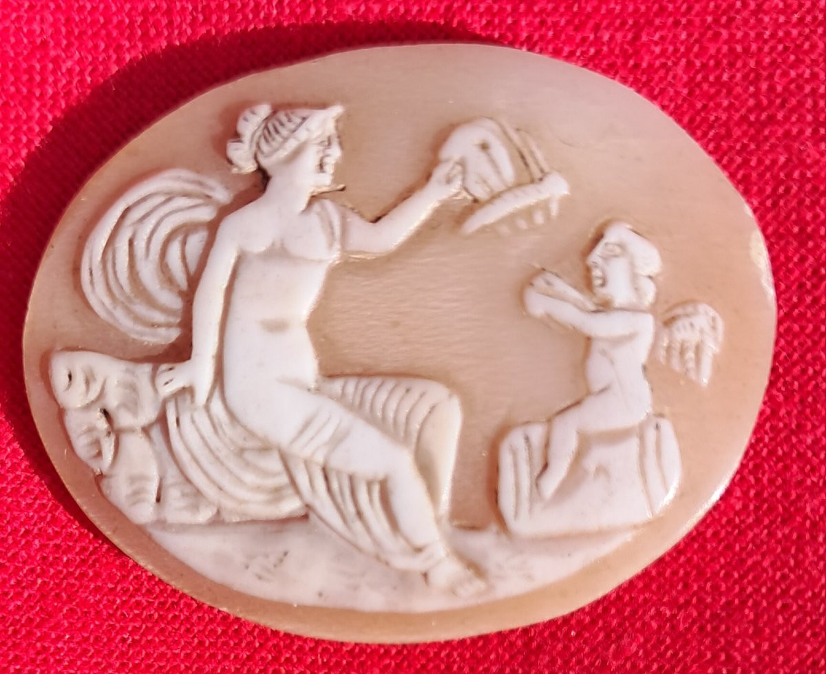Lot Of 5 Cameos 19th Century Shell Grand Tour Portrait Italy Naples Neptune Cupid Mythology-photo-3