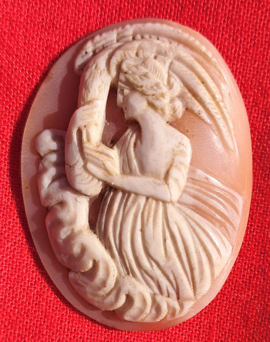 Lot Of 5 Cameos 19th Century Shell Grand Tour Portrait Italy Naples Neptune Cupid Mythology-photo-4