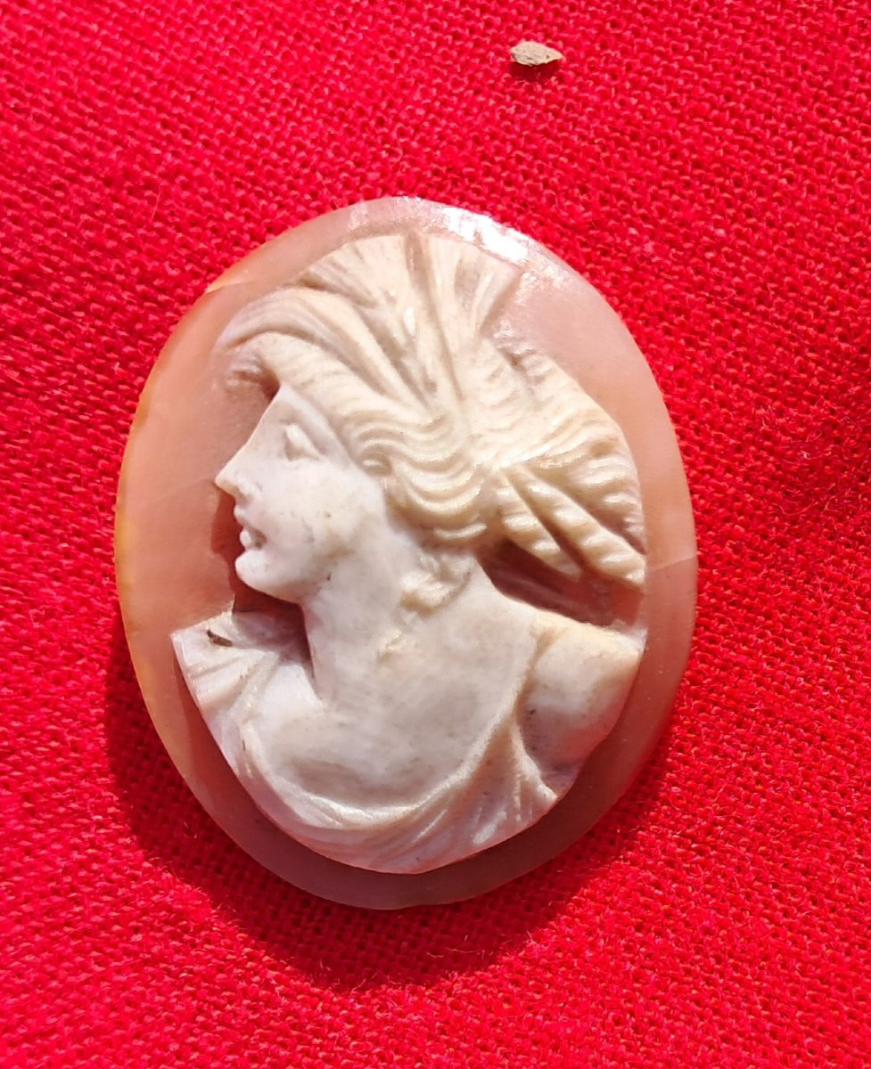 Lot Of 5 Cameos 19th Century Shell Grand Tour Portrait Italy Naples Neptune Cupid Mythology-photo-1