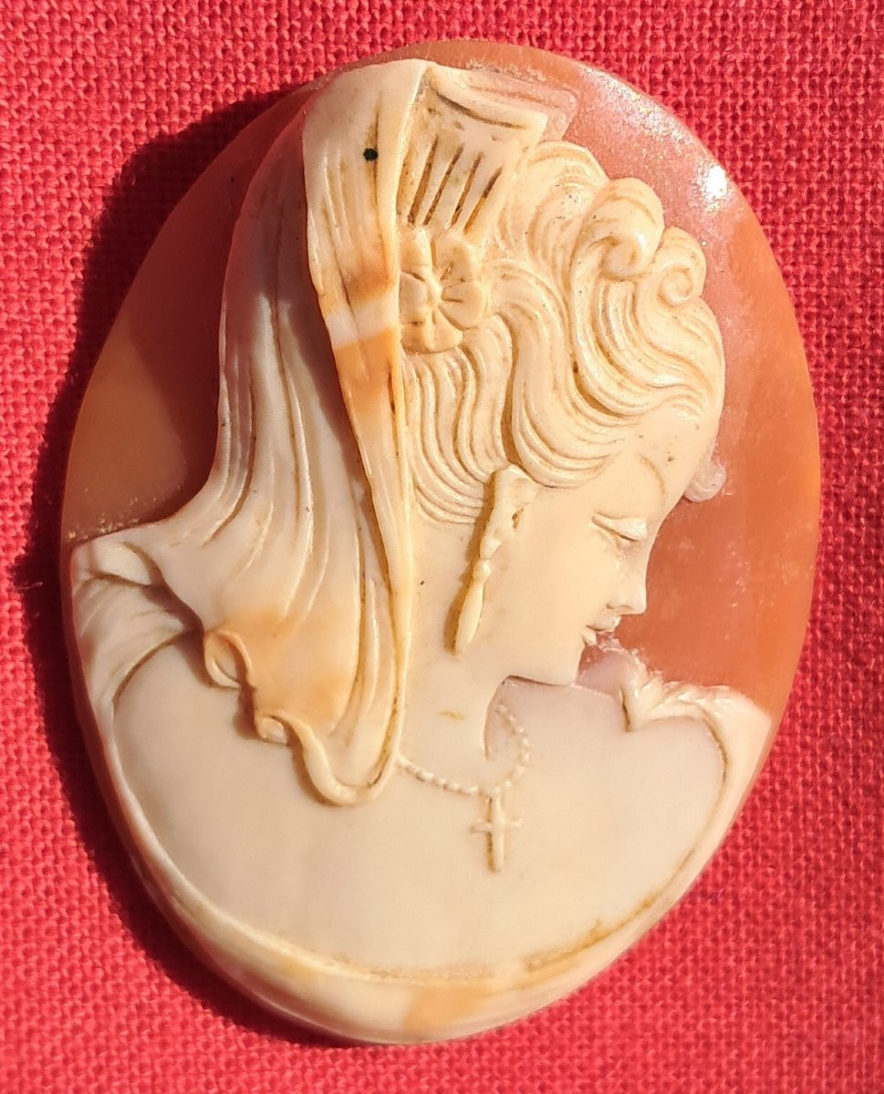 Lot Of 5 Cameos 19th Century Shell Grand Tour Portrait Italy Naples Neptune Cupid Mythology-photo-2
