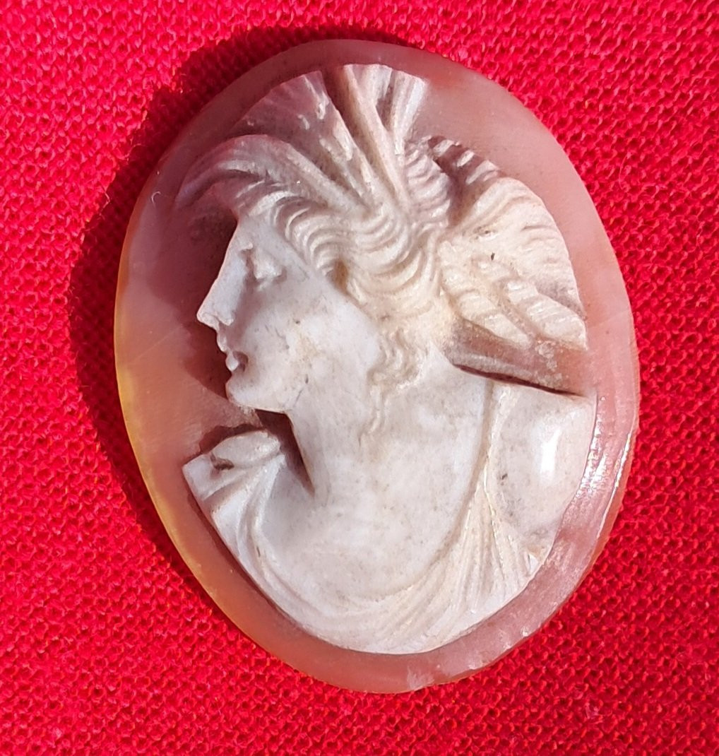 Lot Of 5 Cameos 19th Century Shell Grand Tour Portrait Italy Naples Neptune Cupid Mythology-photo-7