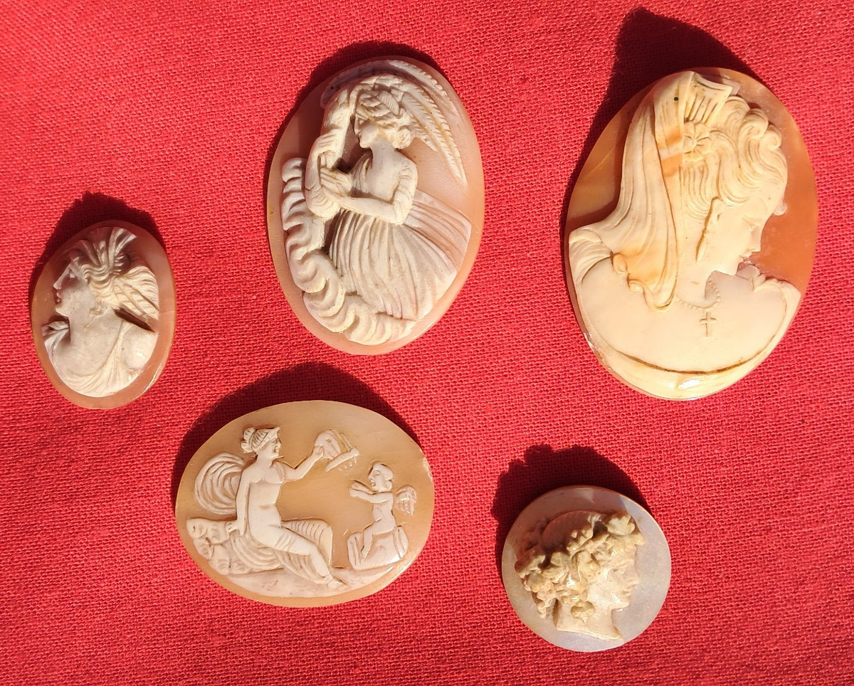 Lot Of 5 Cameos 19th Century Shell Grand Tour Portrait Italy Naples Neptune Cupid Mythology