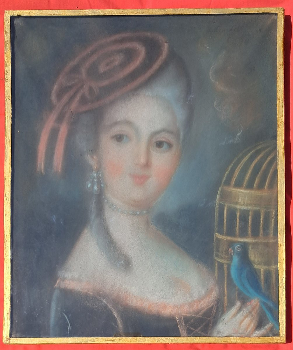 18th Century Pastel Portrait Of A Woman Louis XVI Noble Nobility Versailles Marie Antoinette Bird-photo-2