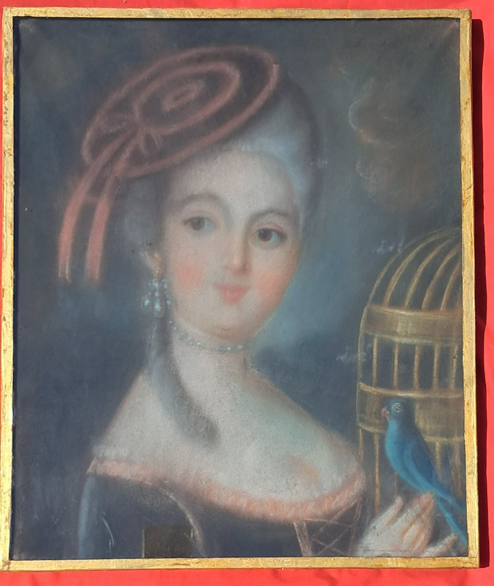 18th Century Pastel Portrait Of A Woman Louis XVI Noble Nobility Versailles Marie Antoinette Bird-photo-1