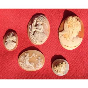 Lot Of 5 Cameos 19th Century Shell Grand Tour Portrait Italy Naples Neptune Cupid Mythology