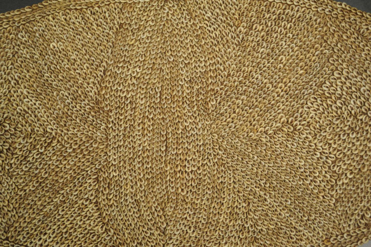 Monnaie tribale en coquillages utilisée comme dot nuptiale en Guinée-photo-3