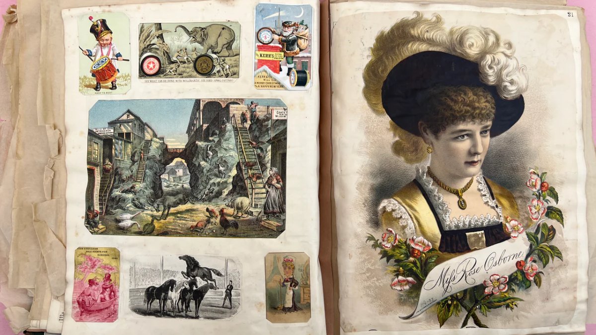 Grand album de cartes commerciales américaines victoriennes-photo-6