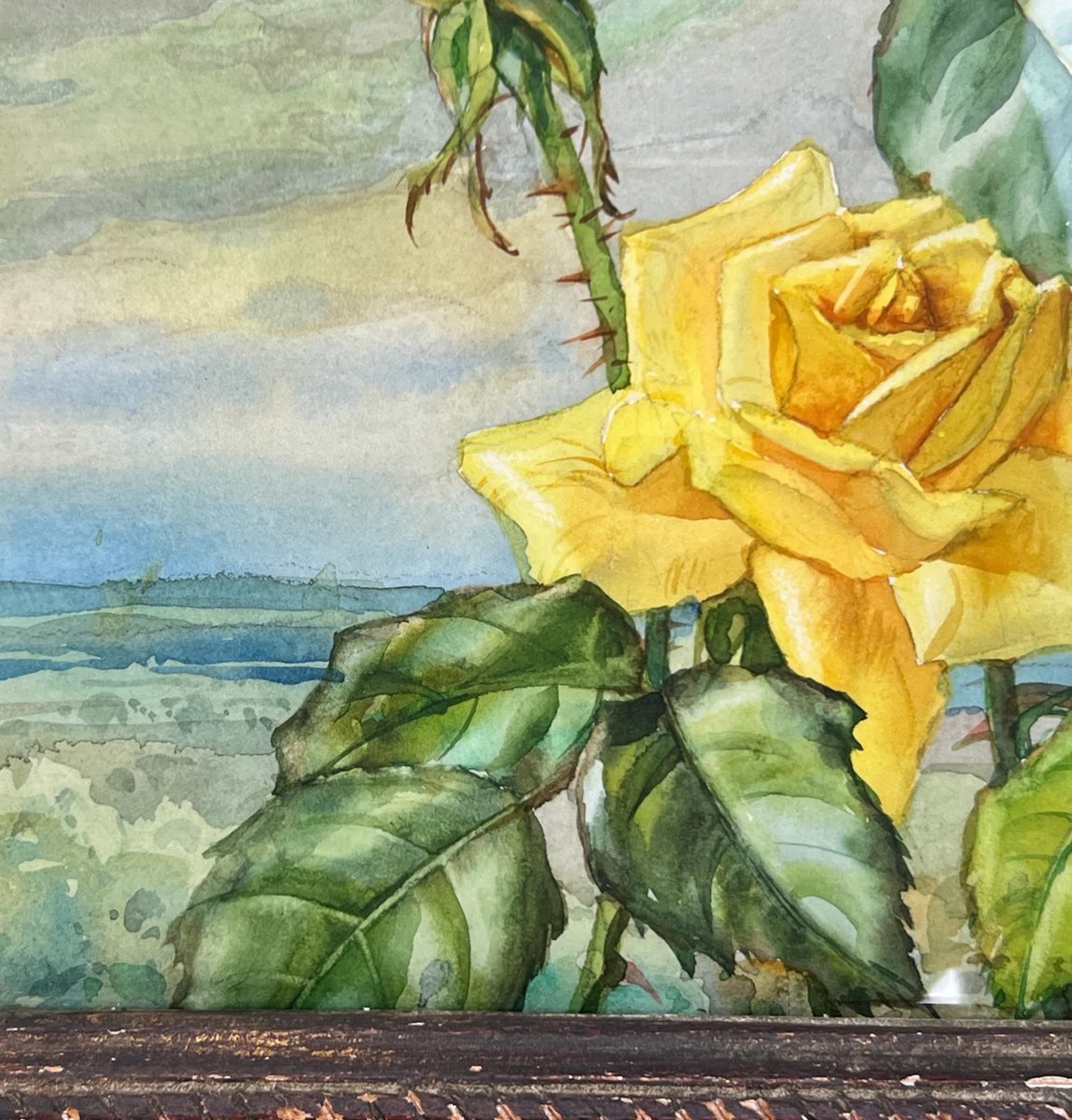 Andrey Avinoff Roses et papillons-photo-1