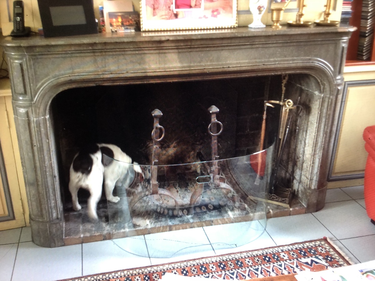 Louis XIV Stone Fireplace -photo-3