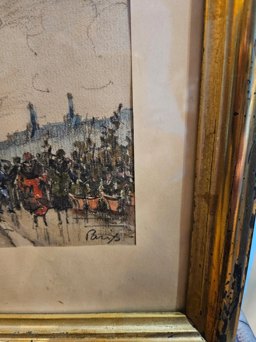 Dessin De Frank Will Paris Le Marché Aux Fleurs-photo-2