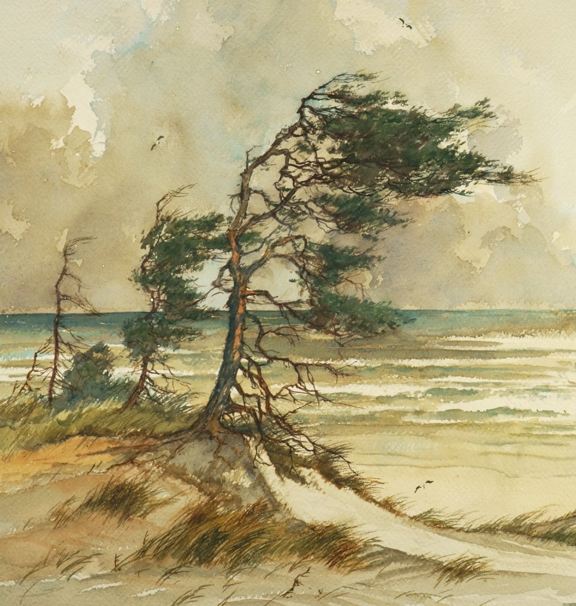 Theodor Scheerbaum, The Trees Of The Baltic Sea / - The Sensuality Of The Baltic Sea --photo-2