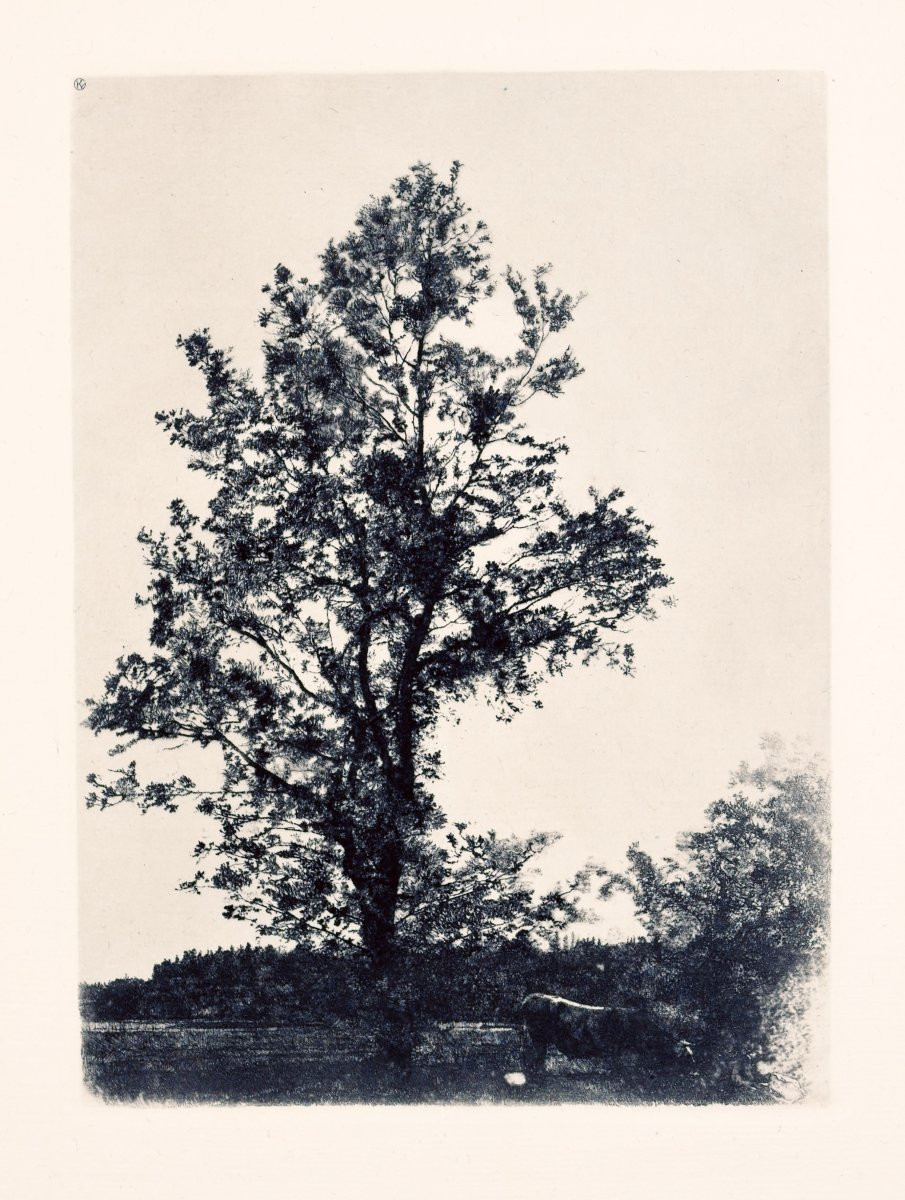 Wilhelm Leibl (1844-1900), Gravures originales, maison d'édition d'art Gurlitt, 1900-photo-5
