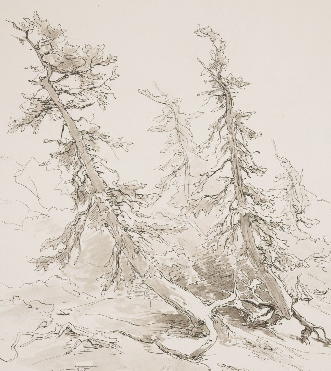 Eduard Peithner Von Lichtenfels (1833-1913), Woodland, 1884-photo-2