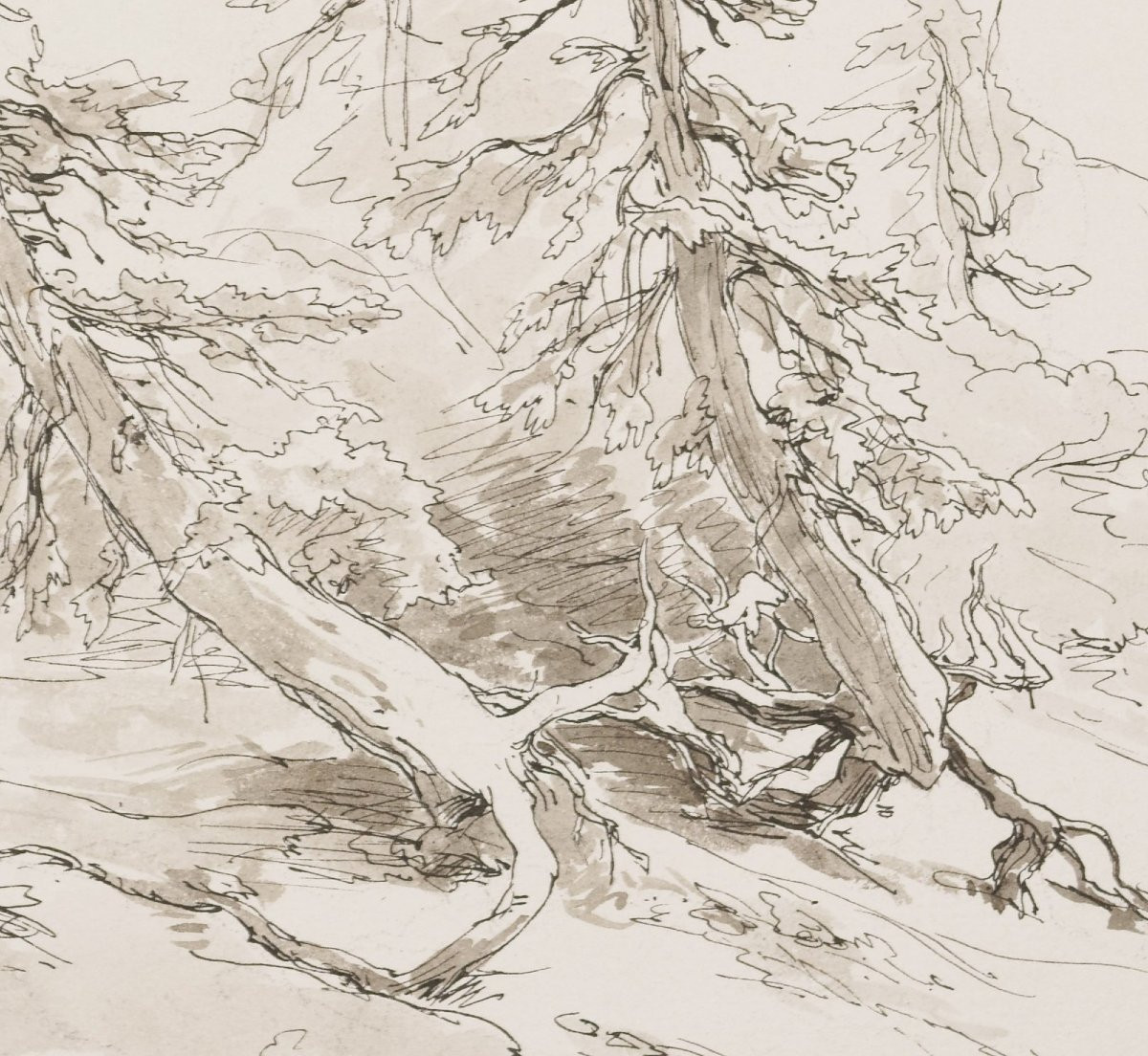 Eduard Peithner Von Lichtenfels (1833-1913), Woodland, 1884-photo-3