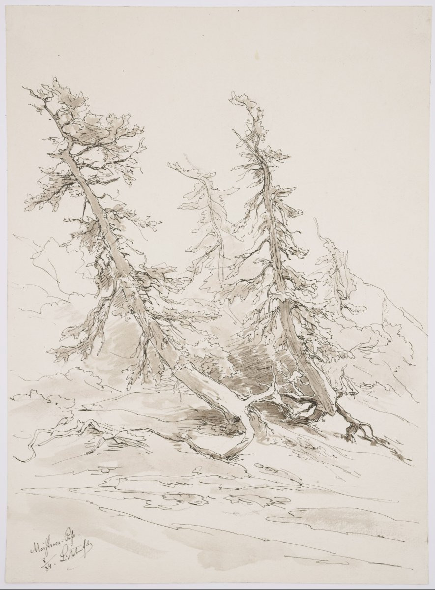 Eduard Peithner Von Lichtenfels (1833-1913), Woodland, 1884-photo-4