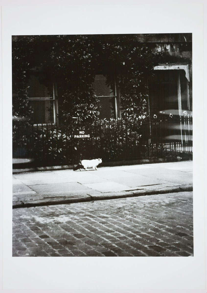 Stefan Moses (1928 - 2018), Black Cat, Circa 1965-photo-2