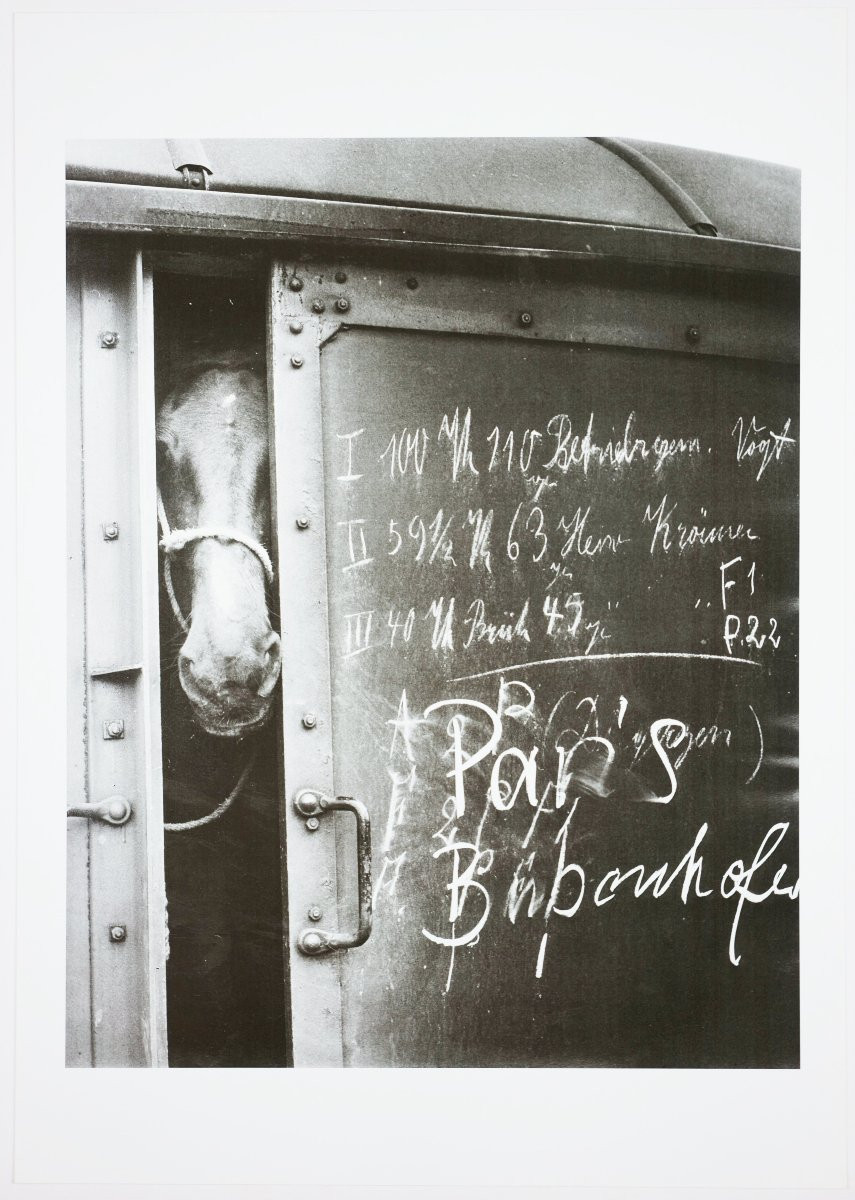 Stefan Moses (1928 - 2018), Cheval dans un wagon, vers 1955-photo-2