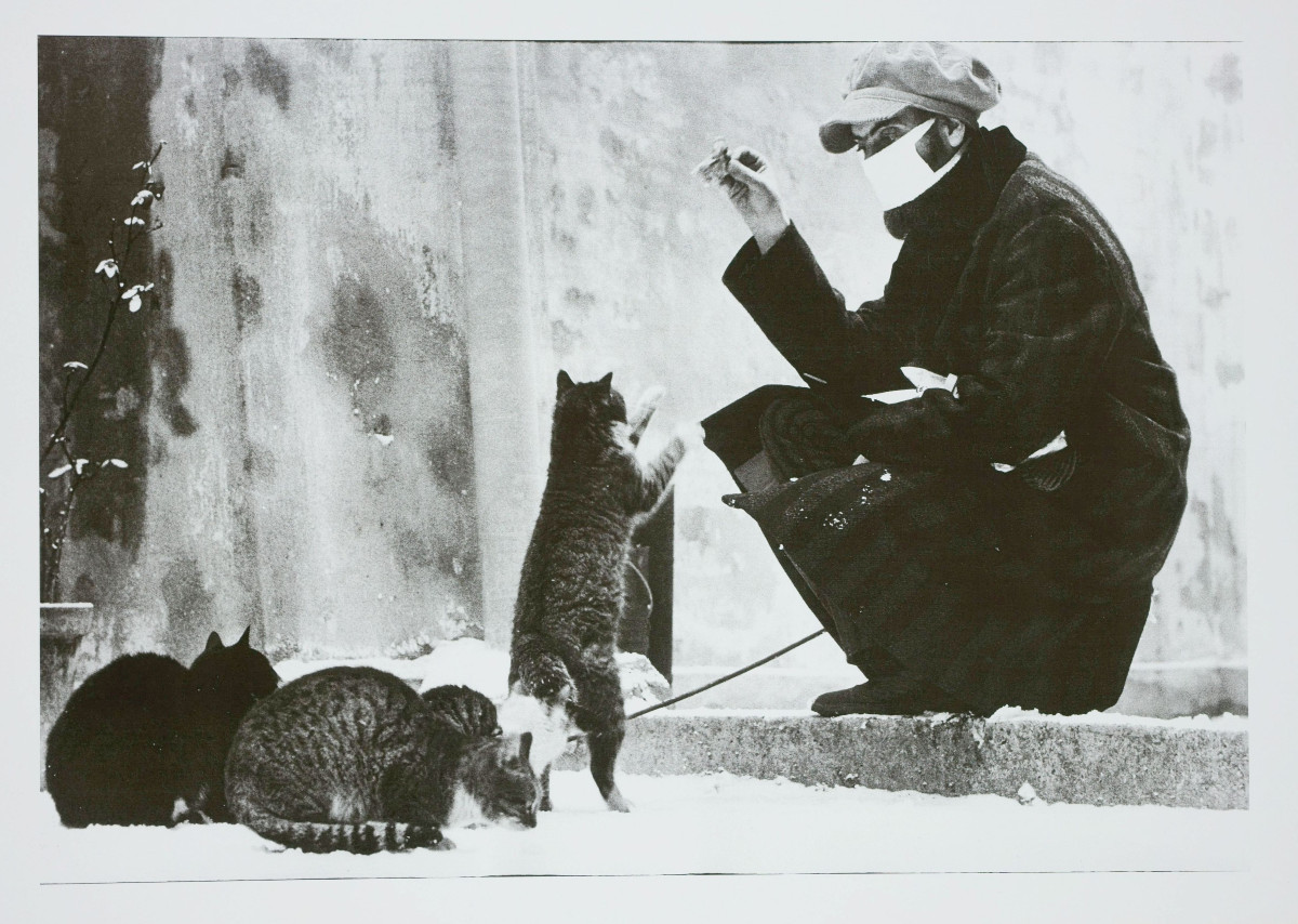Moses, Stefan (1928 - 2018), Man With Street Cats, C. 1980