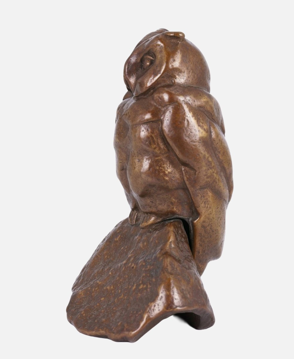 Anonymous, Watching Owl On Rock, Around 1960-photo-3