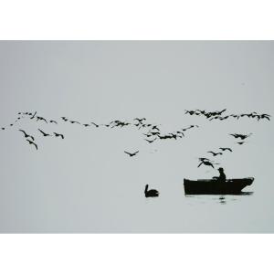 Stefan Moses (1928 - 2018), Rameur avec oiseaux, vers 1960