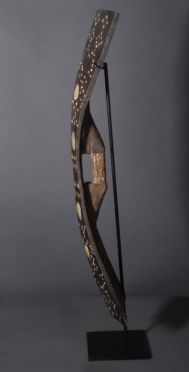 Salawaku Shield - Halmahera Indonesia-photo-3