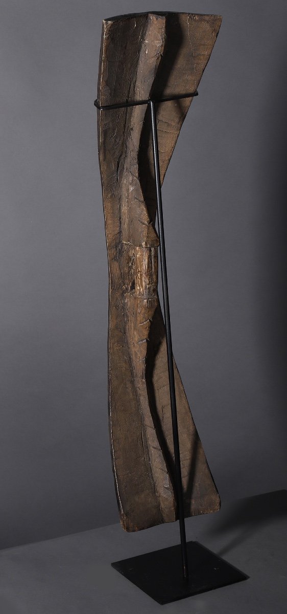 Salawaku Shield - Halmahera Indonesia-photo-4