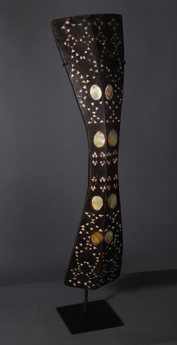 Salawaku Shield - Halmahera Indonesia-photo-2