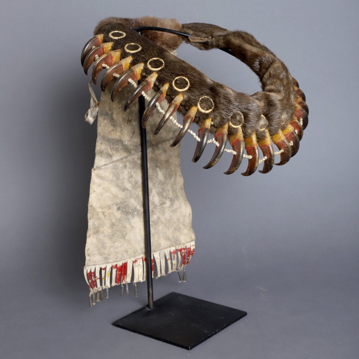 Bear Claw Necklace – Usa