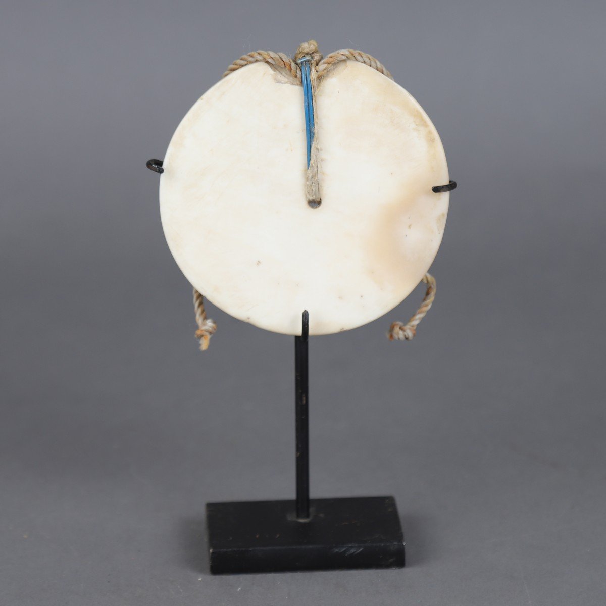 Tema Pectoral - Solomon Islands