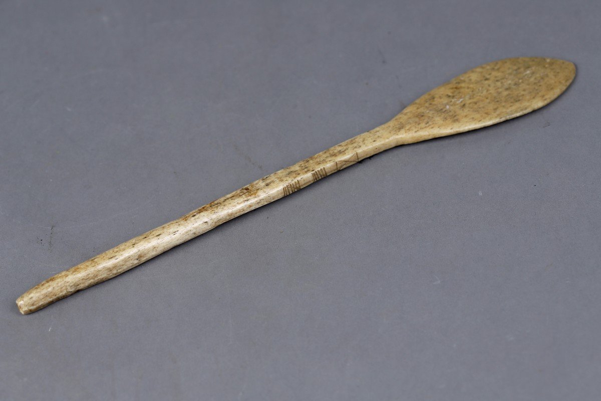 Spatule - Eskimos-photo-2