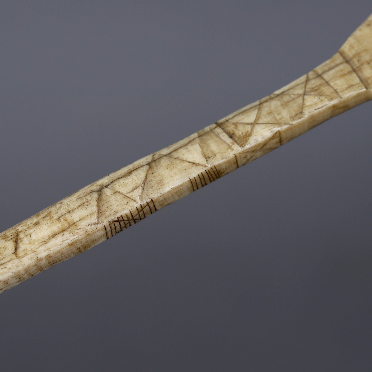 Spatule - Eskimos-photo-4