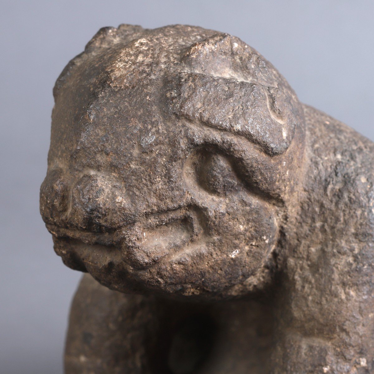 Dieu Jaguar - Guatemala-photo-4