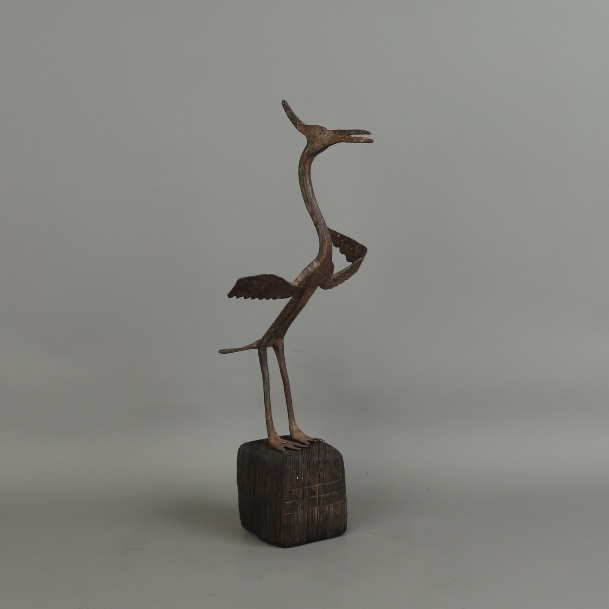 Oiseau De Fer - Burkina Faso-photo-2