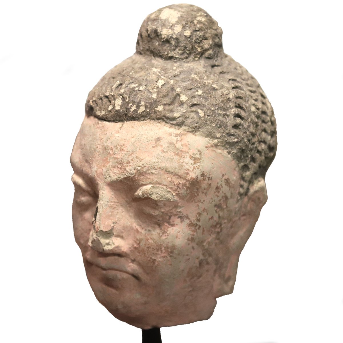 Head Of A Buddha Or Bodhisattva – Gandhara, Asia