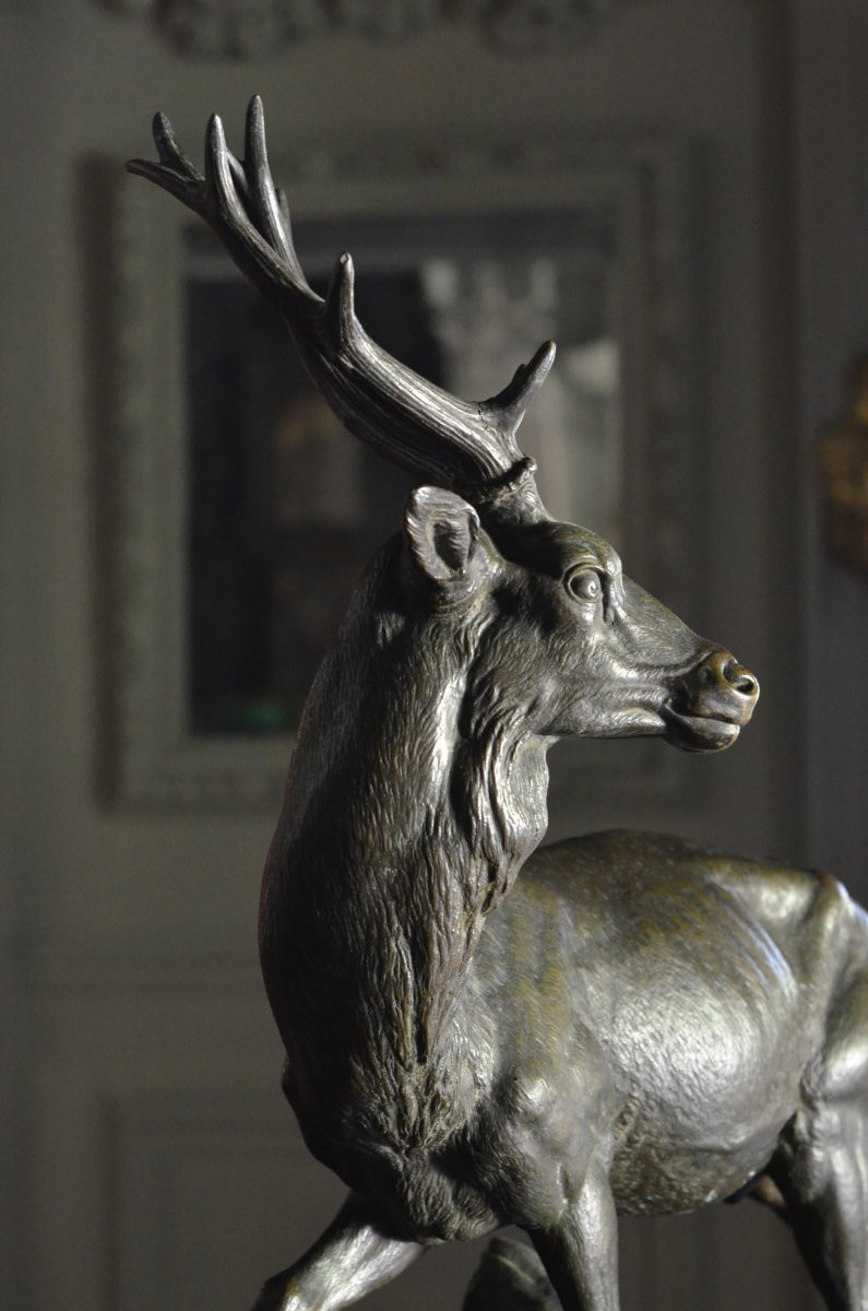 Cerf en bronze / Gruet jeune-photo-4