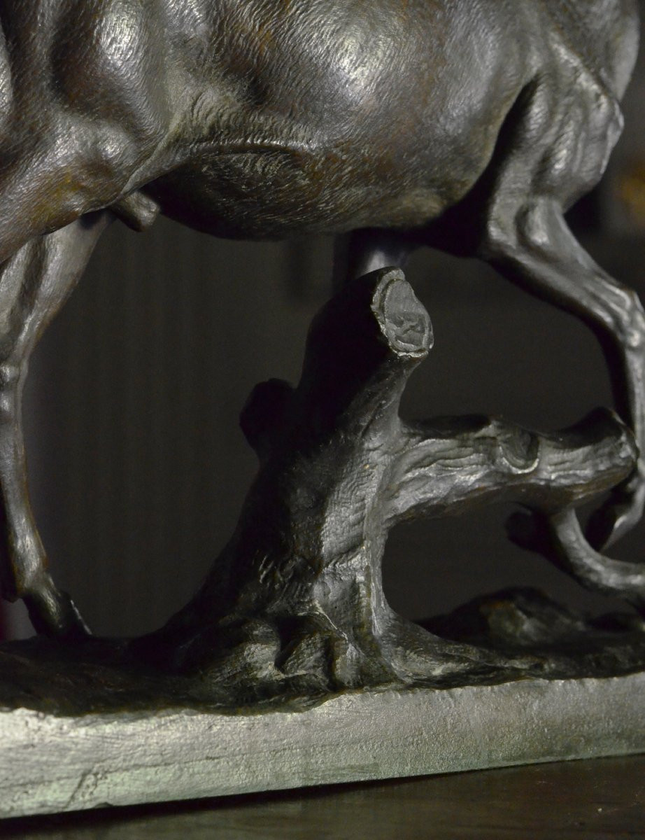 Cerf en bronze / Gruet jeune-photo-2