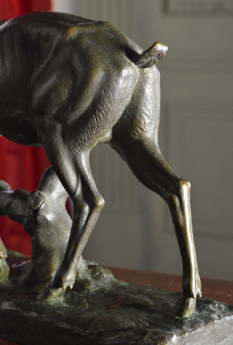 Cerf en bronze / Gruet jeune-photo-5