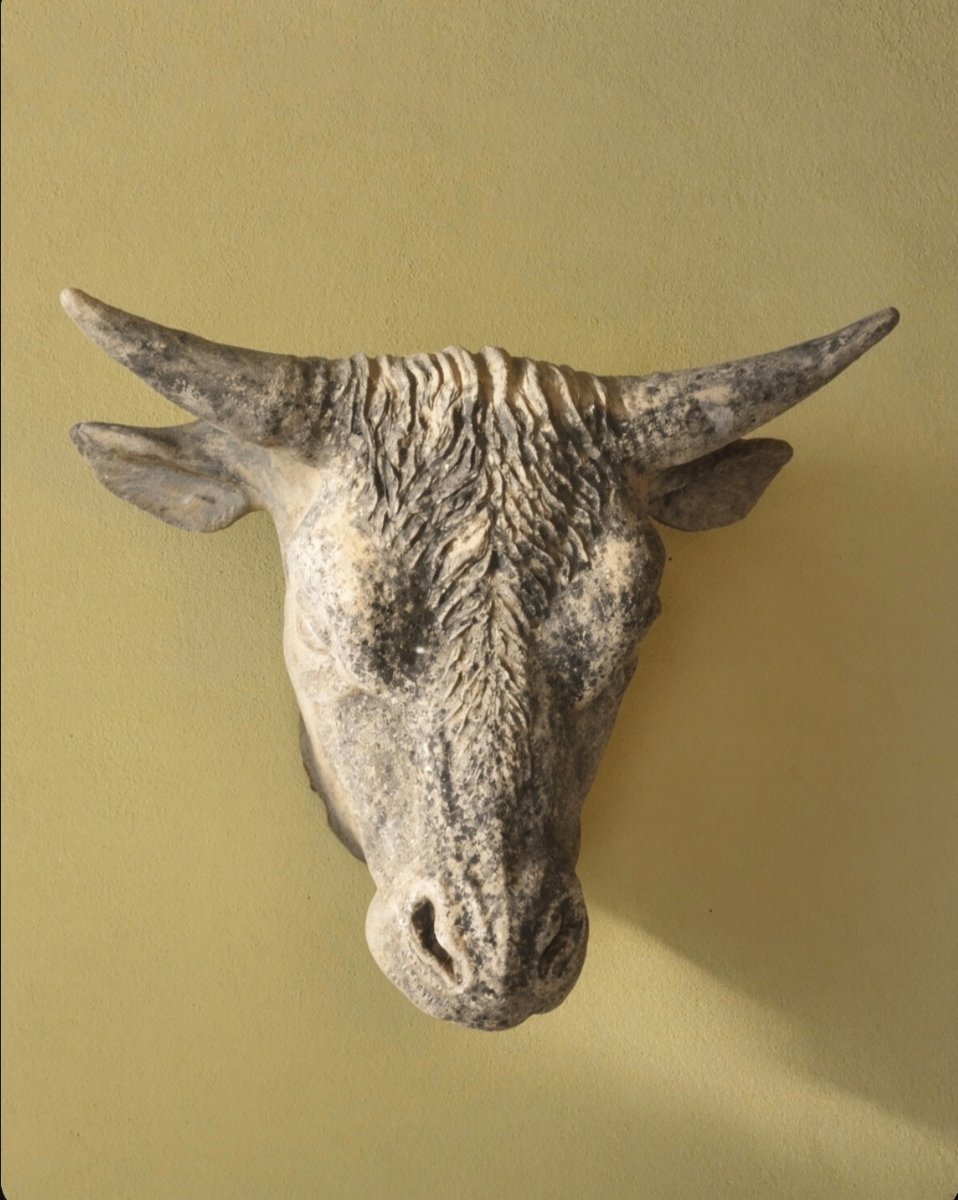 Terracotta Bull's Head -photo-4