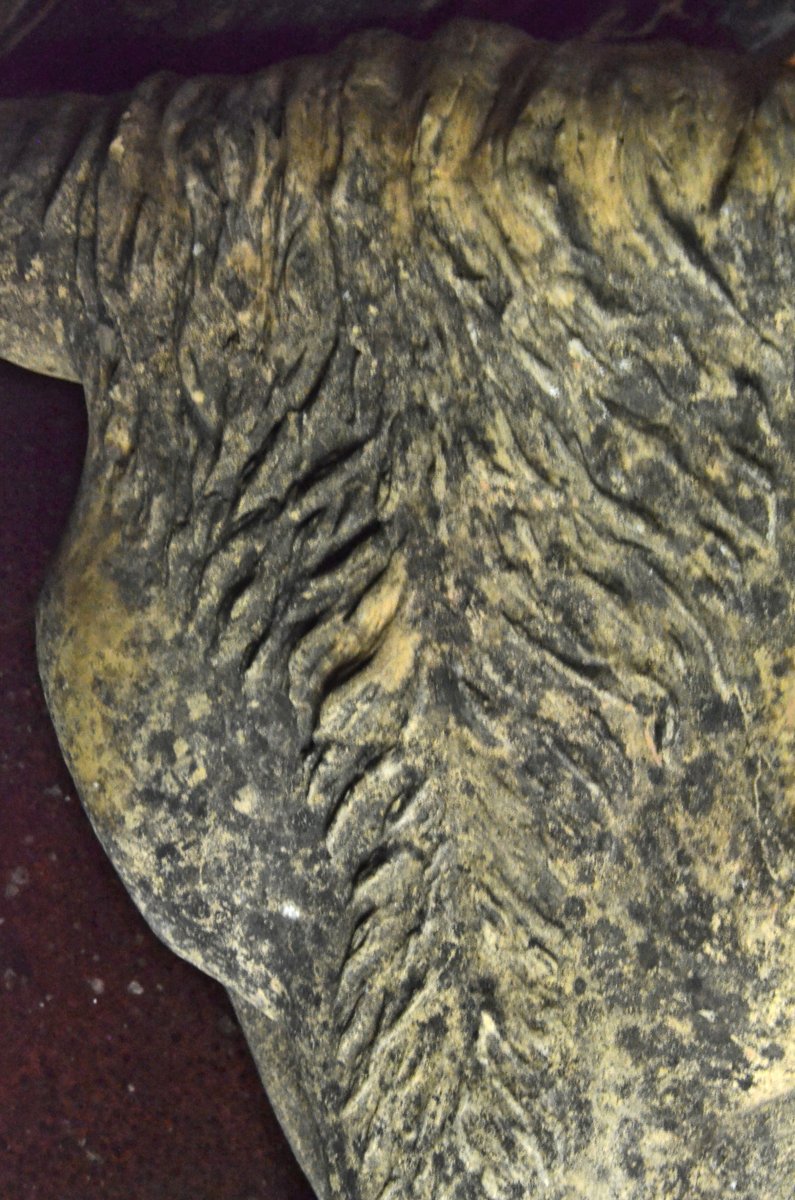 Terracotta Bull's Head -photo-1