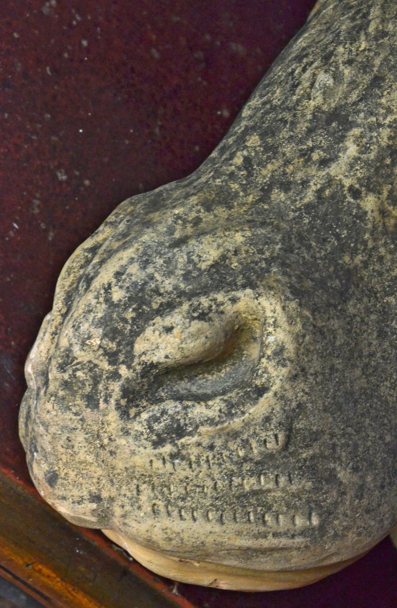 Terracotta Bull's Head -photo-2