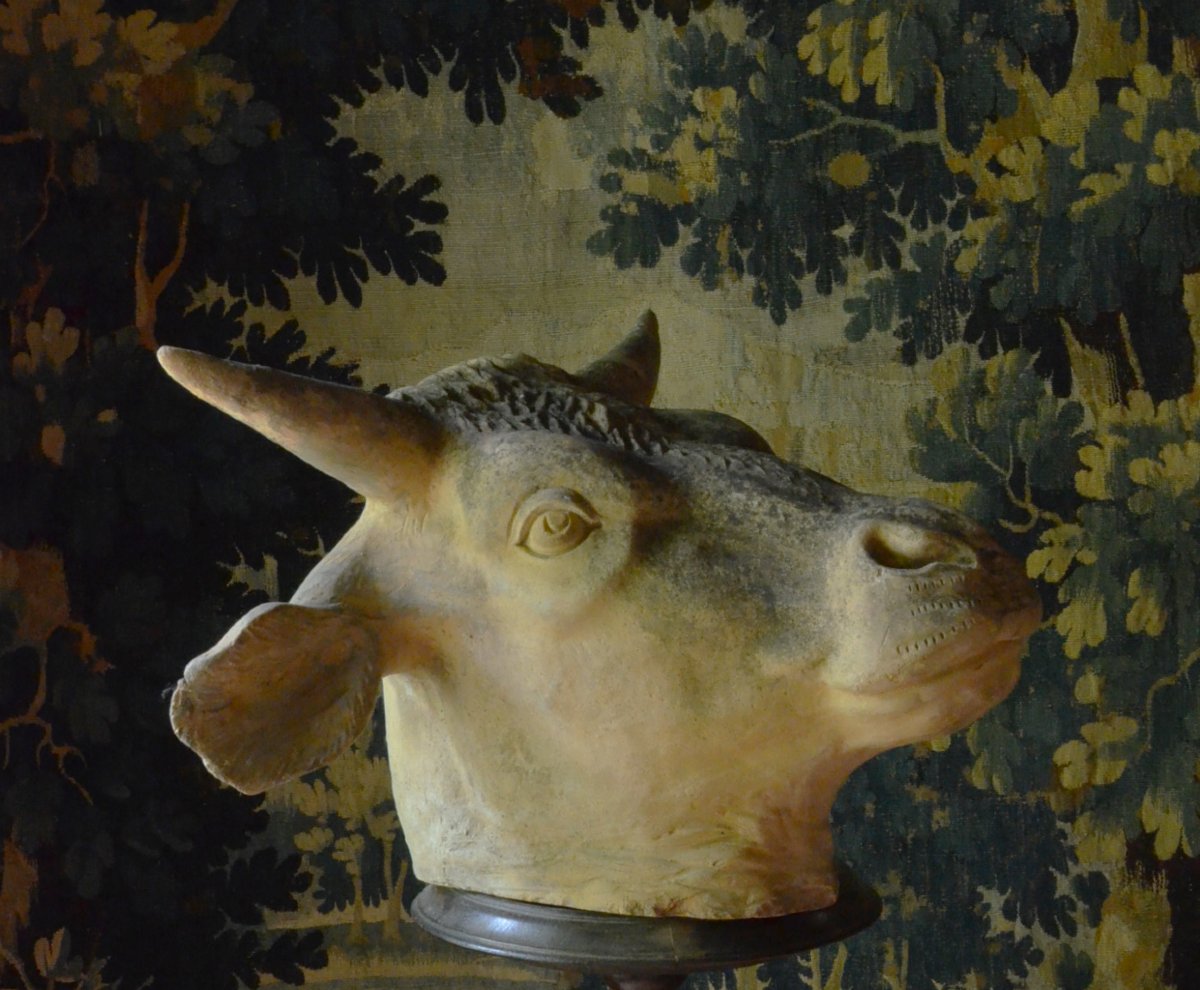Terracotta Bull's Head 