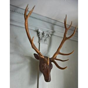 Large Deer Head In Carved Wood