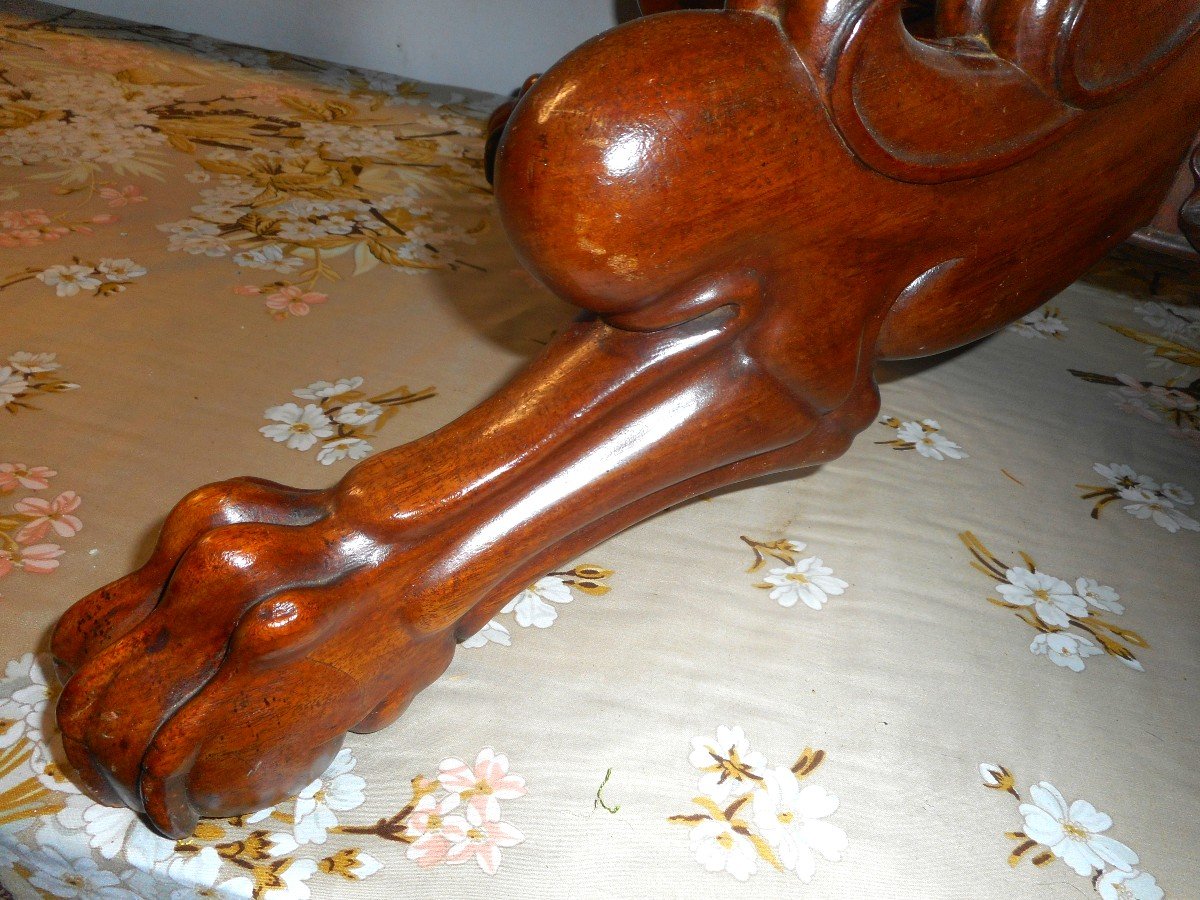 Pate De Lion Pedestal Table In Mahogany 19th Century-photo-4