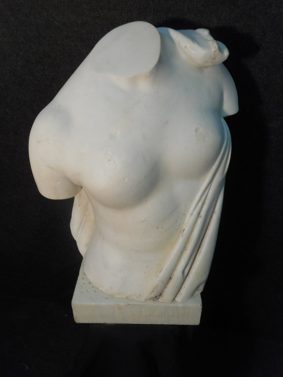 Bust In Carrara Marble Signed Augusto Benvenuti 1839-1899-photo-3