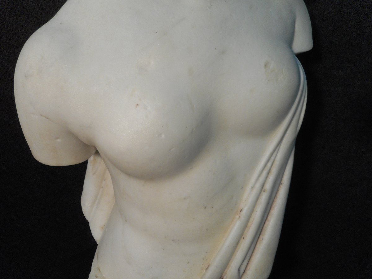 Bust In Carrara Marble Signed Augusto Benvenuti 1839-1899-photo-1