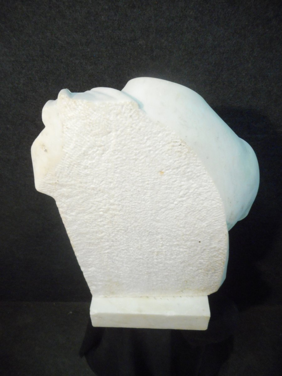 Bust In Carrara Marble Signed Augusto Benvenuti 1839-1899-photo-7