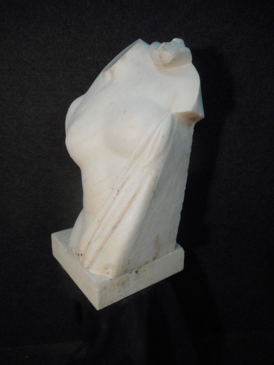 Bust In Carrara Marble Signed Augusto Benvenuti 1839-1899-photo-8