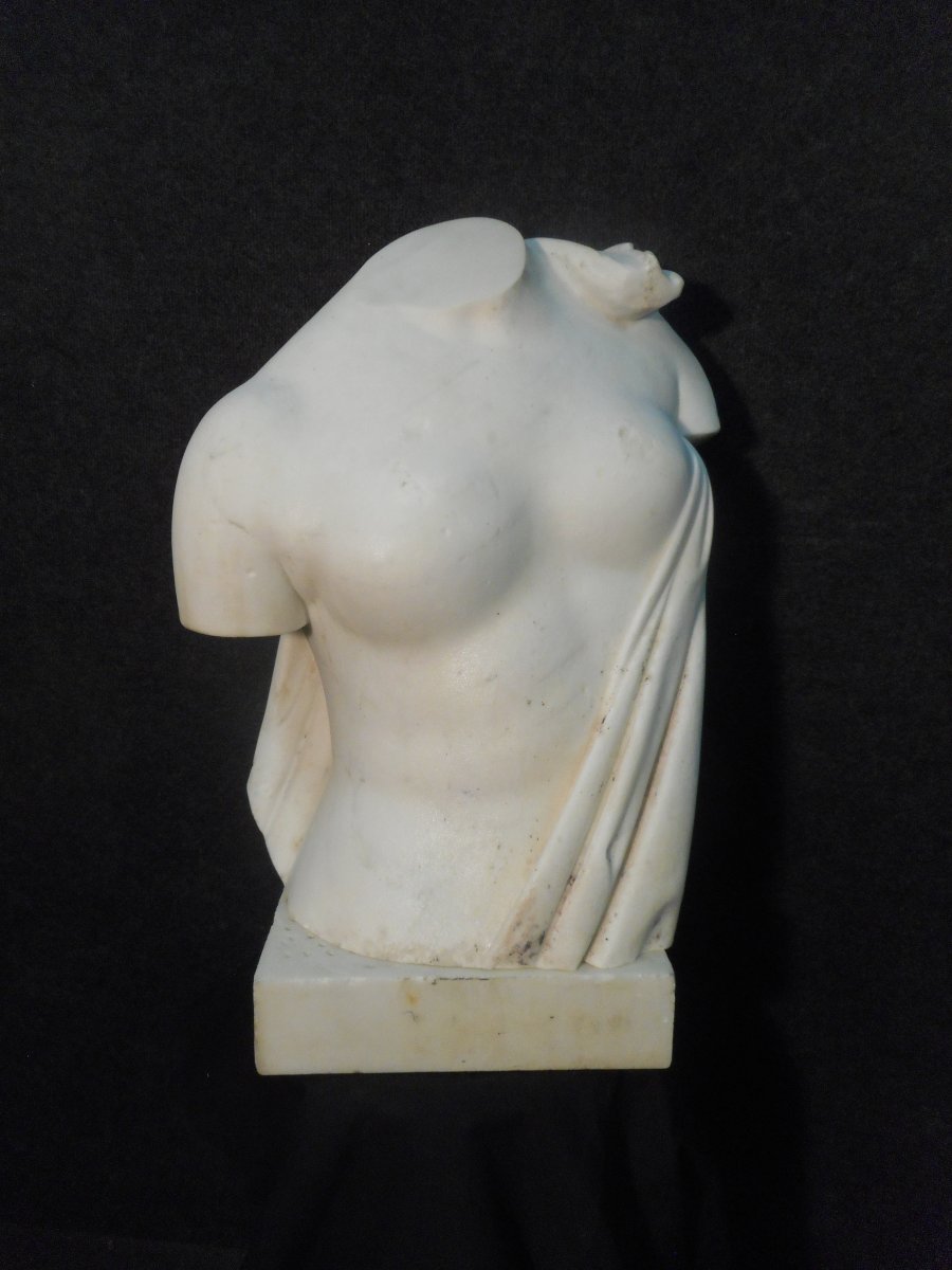 Bust In Carrara Marble Signed Augusto Benvenuti 1839-1899