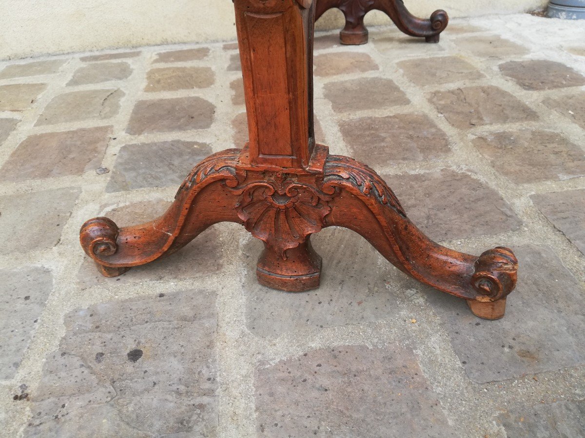 Louis XV Period Fireplace Screen In Walnut And Tapestry-photo-8